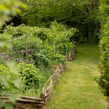 Pensión Le Manoir Du Plessis Dance (Orne)