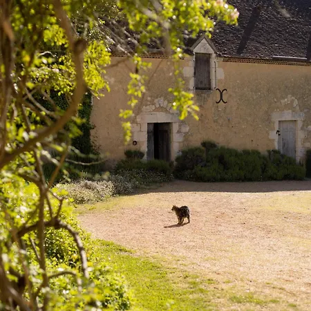 Le Manoir Du Plessis Dance (Orne)