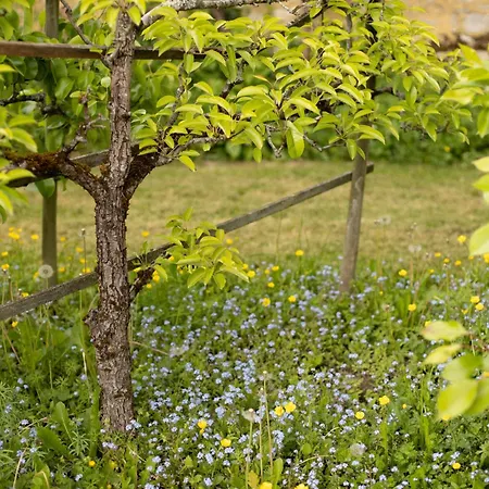 Le Manoir Du Plessis