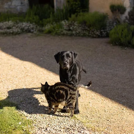 Le Manoir Du Plessis Pensión