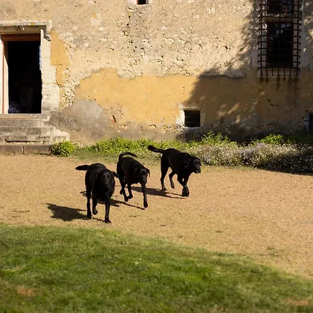 Le Manoir Du Plessis *