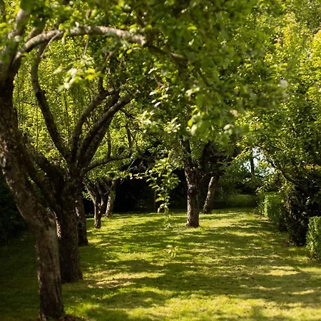 Pensión Le Manoir Du Plessis