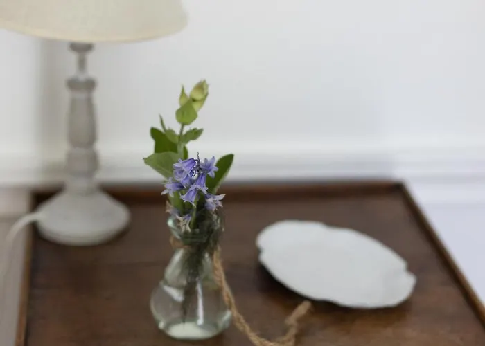 Le Manoir Du Plessis 3* Dance (Orne)