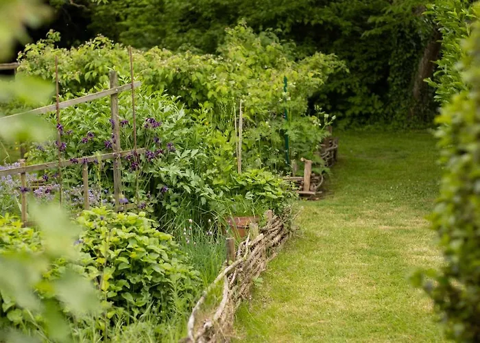 Pensjonat Le Manoir Du Plessis Dance (Orne)