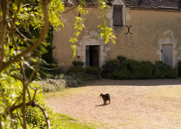 Le Manoir Du Plessis Dance (Orne)