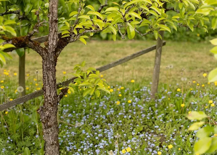 Le Manoir Du Plessis