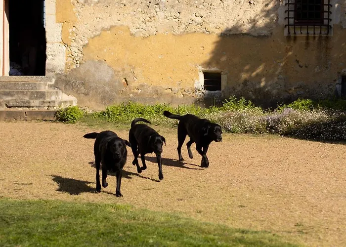 Le Manoir Du Plessis 3*